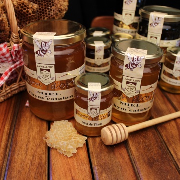 Miel de thym