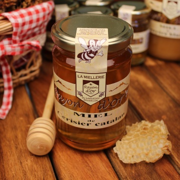 Miel de cerisier Miel Français | Miel Rayon d'Or • Miel Rayon d'Or