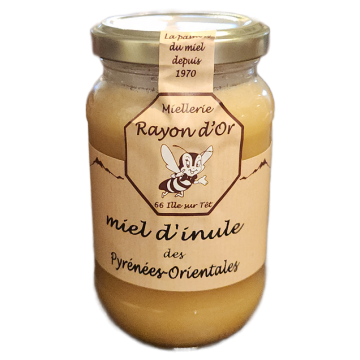 Miel d'inule visqueuse 350g pot verre • Miel Rayon d'Or
