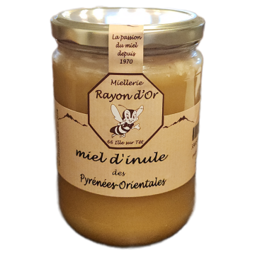 Miel d'inule visqueuse 750g pot verre • Miel Rayon d'Or