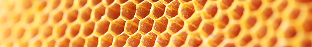 Comment choisir son miel • Miel Rayon d'Or